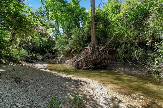 a view of a yard with a tree