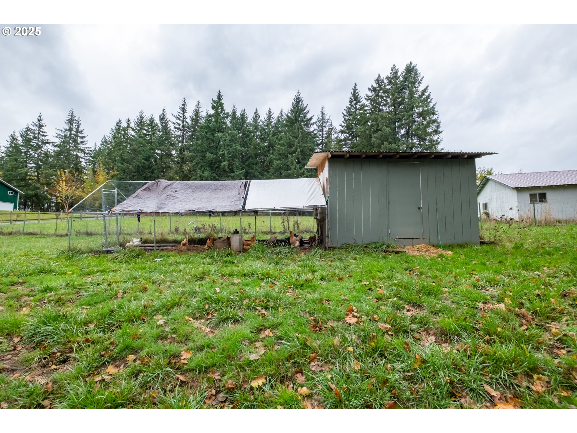 2314 Northwest Beaumont Lane Albany, OR 97321 - Photo 40 of 46 Coop