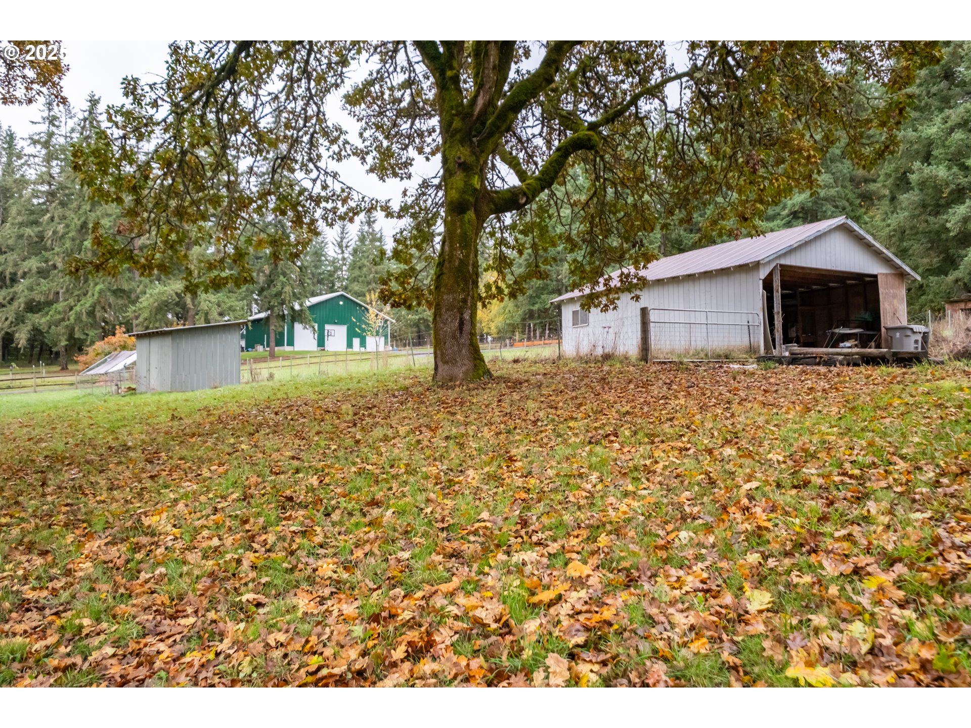2314 Northwest Beaumont Lane Albany, OR 97321 - Photo 42 of 46 Shed