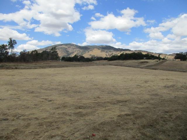 31030 Ruth Hill Road Squaw Valley, CA 93675 - Photo 16 of 21 Gallery Image 16
