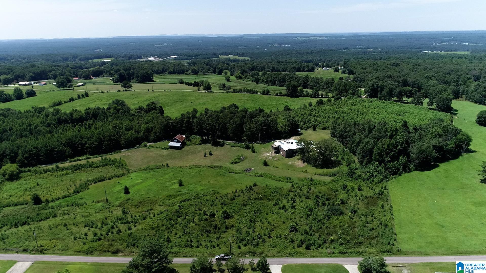 0 Landreth Road, Unit 9 5 / ACRES Oneonta, AL 35121 - Photo 5 of 6