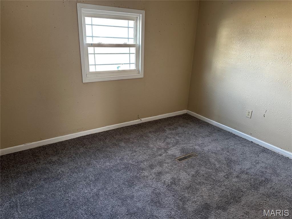 220 North Vine Street Sparta, IL 62286 - Photo 7 of 9