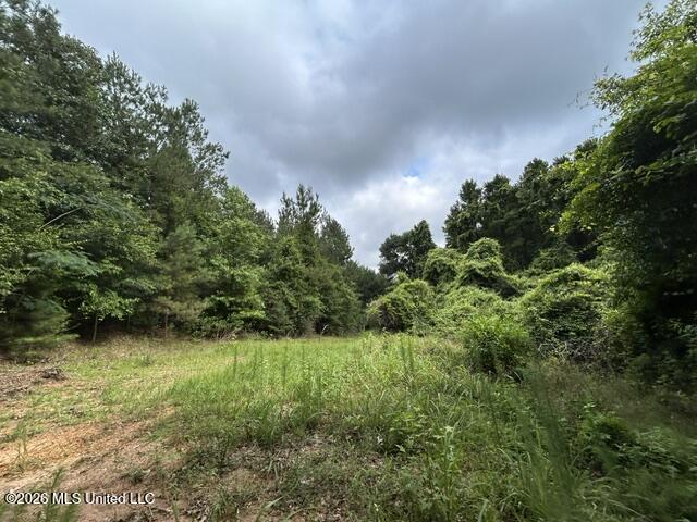 301 Freeman Road Southwest Summit, MS 39666 - Photo 23 of 43 IMG_4607