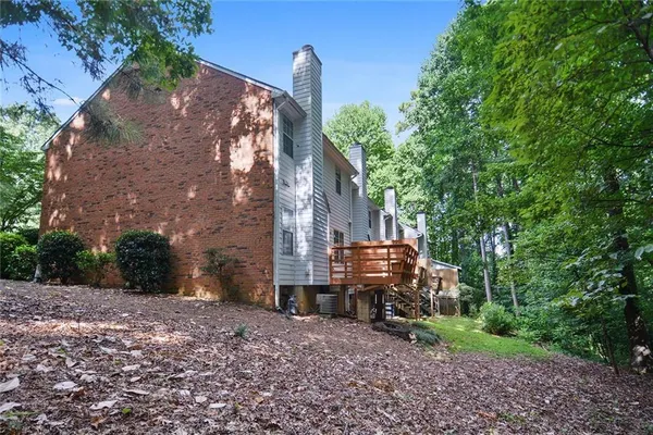 a view of a lush green forest