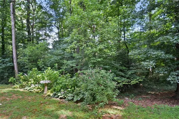 a view of a yard with plants and trees