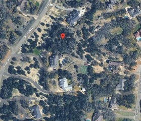 1061 River Way Spring Branch, TX 78070 - Photo 1 of 1 a close up of a tree