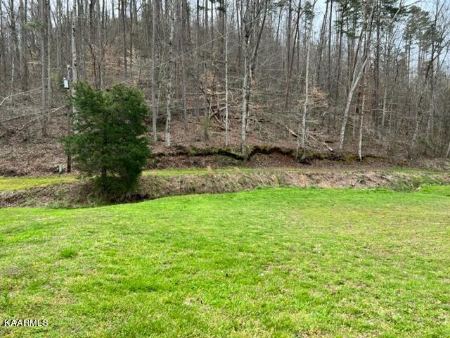 Old State Rd Road Tellico Plains, TN 37385 - Photo 1 of 19 IMG_3007 (1)
