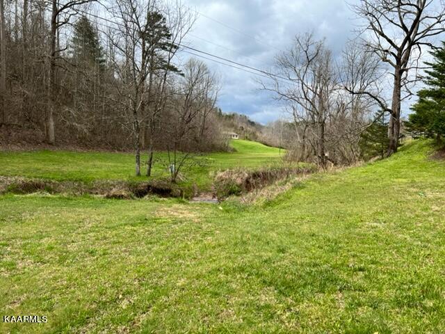 Old State Rd Road Tellico Plains, TN 37385 - Photo 3 of 19 IMG_3009