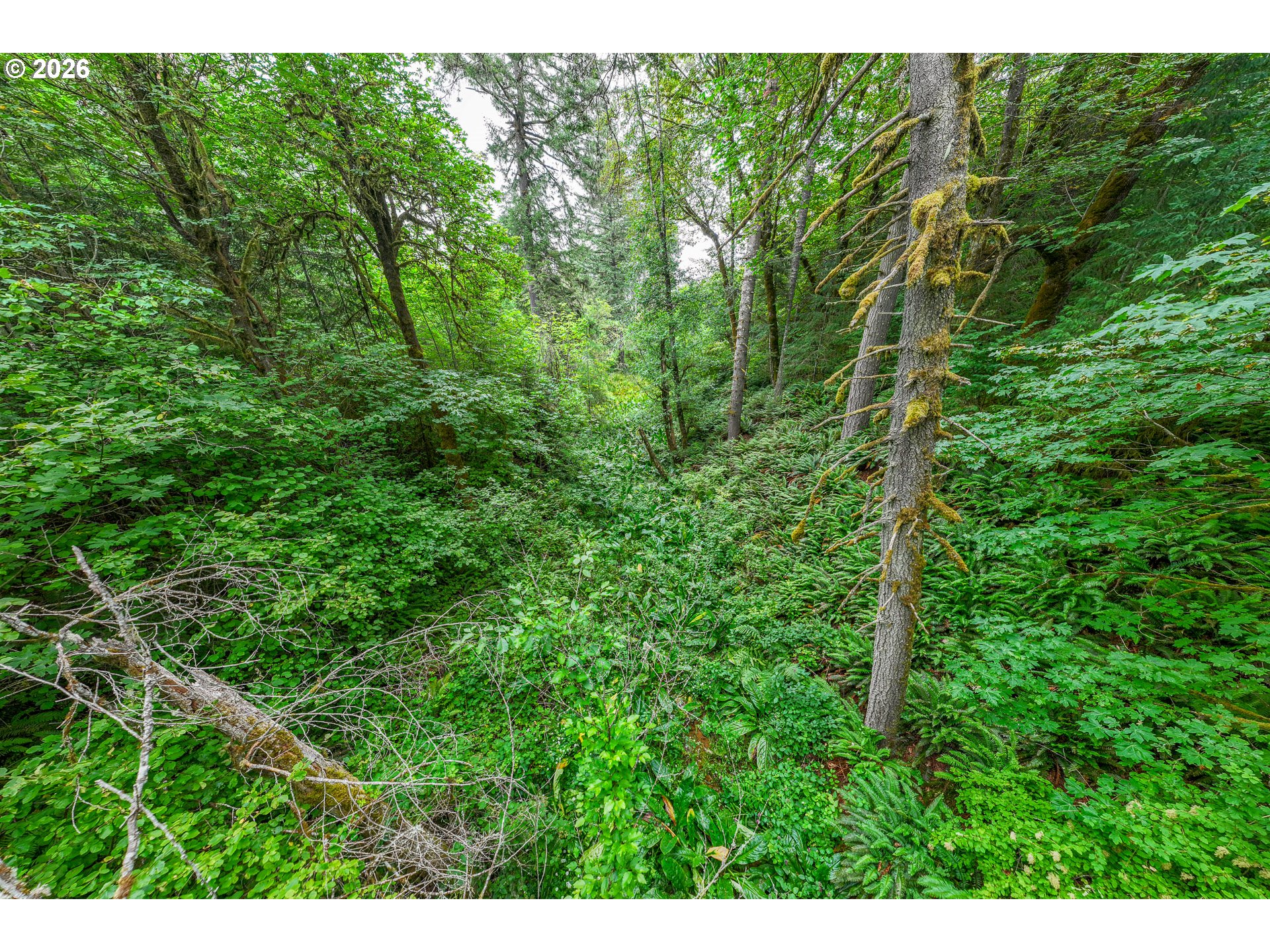 25875 Butler Road Junction City, OR 97448 - Photo 43 of 48 Gallery Image 43