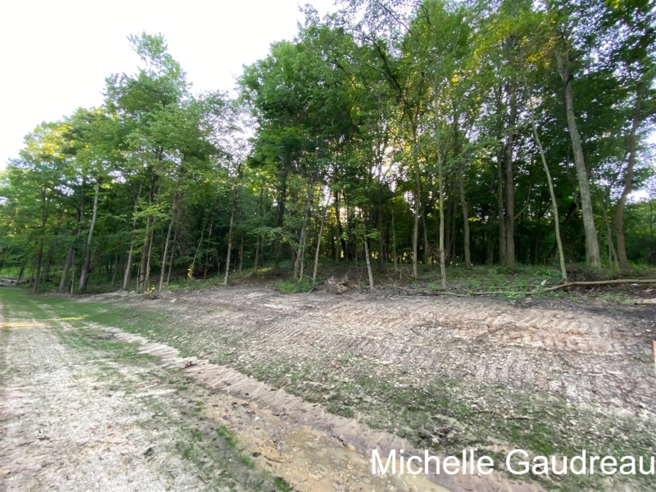 North N Ridge, Unit PARCEL 6 Middleville, MI 49333 - Photo 1 of 5