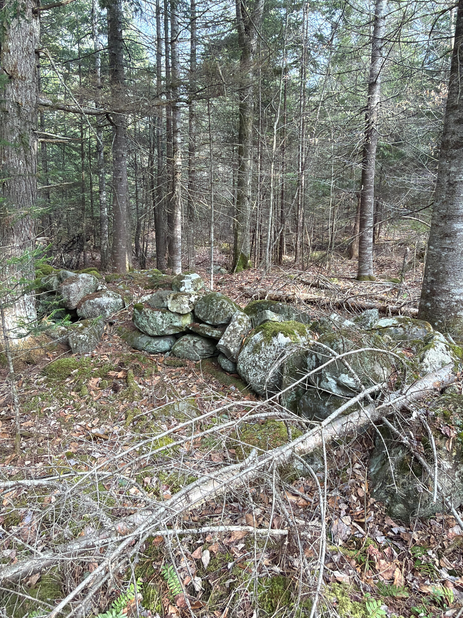 485 Hudson Road Corinth, ME 04427 - Photo 34 of 38 IMG_4760