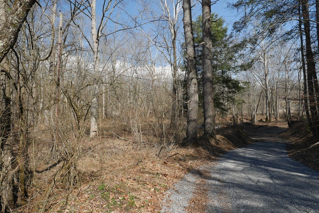 Tbd Rush Creek Road Glade Spring, VA 24340 - Photo 69 of 69 Gallery Image 69