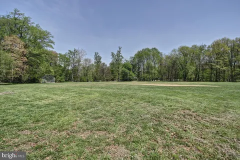 a ground with lots of trees