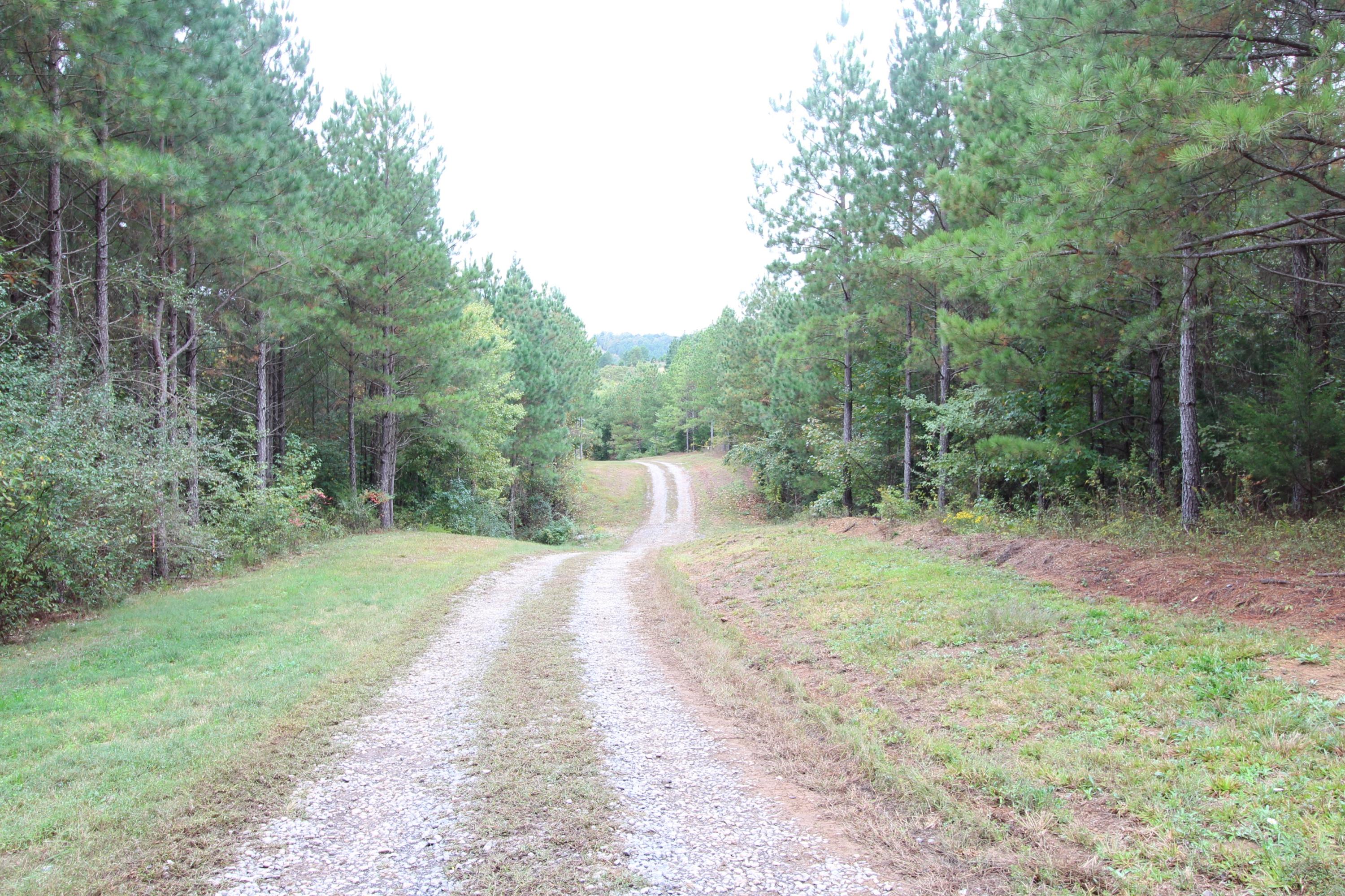 785 Morgan Road Road Charleston, TN 37310 - Photo 2 of 9 IMG_2427