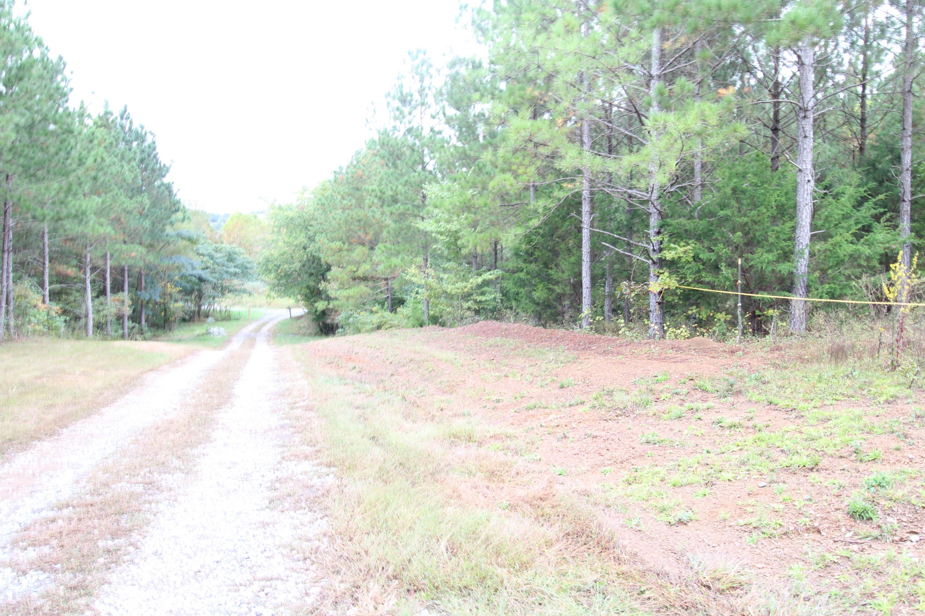 785 Morgan Road Road Charleston, TN 37310 - Photo 3 of 9 IMG_2428