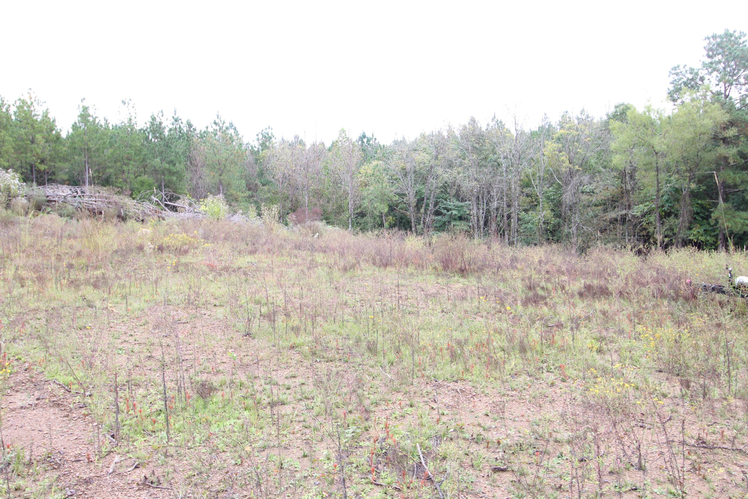 785 Morgan Road Road Charleston, TN 37310 - Photo 5 of 9 IMG_2430