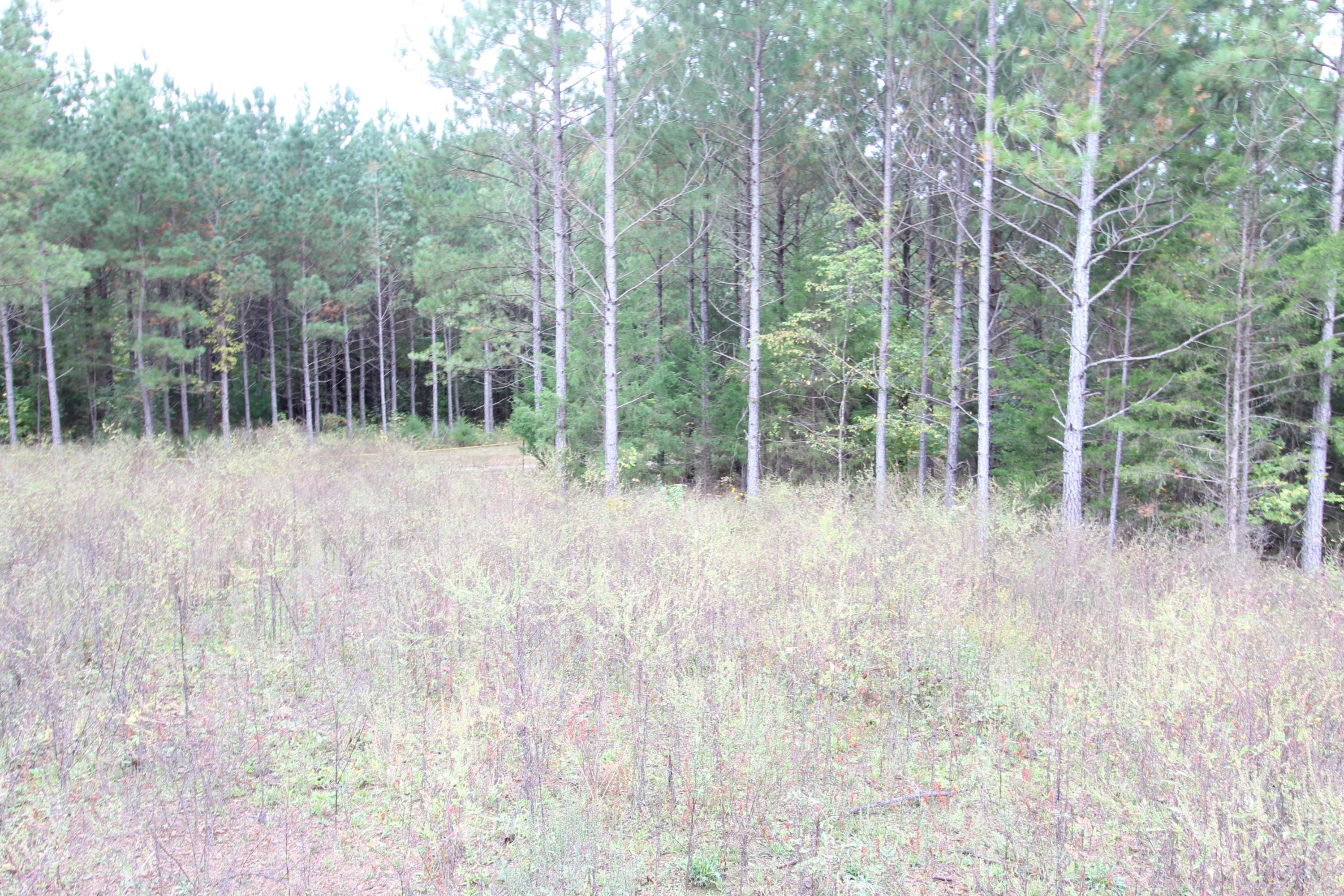 785 Morgan Road Road Charleston, TN 37310 - Photo 6 of 9 IMG_2432