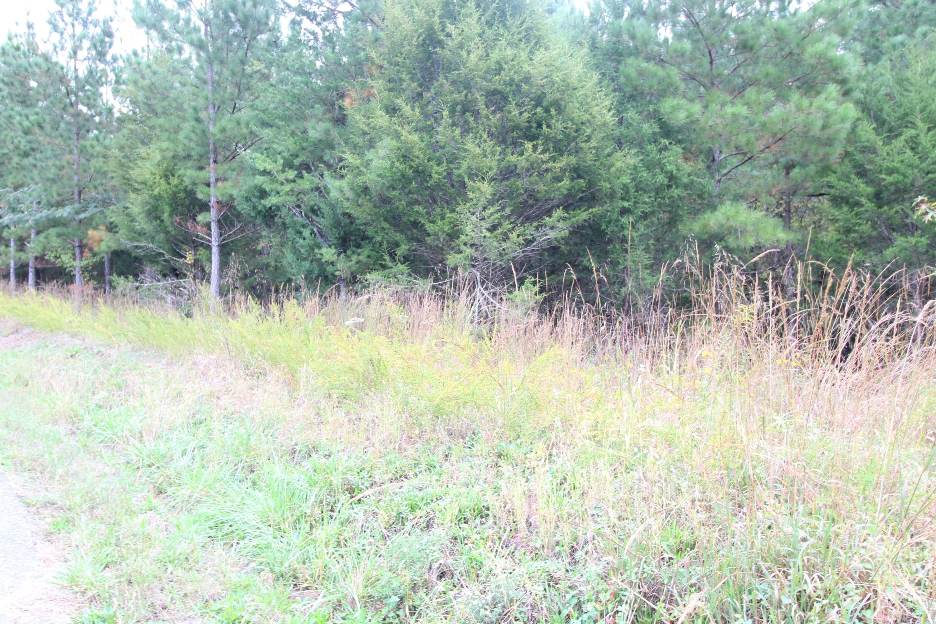 785 Morgan Road Road Charleston, TN 37310 - Photo 7 of 9 IMG_2433