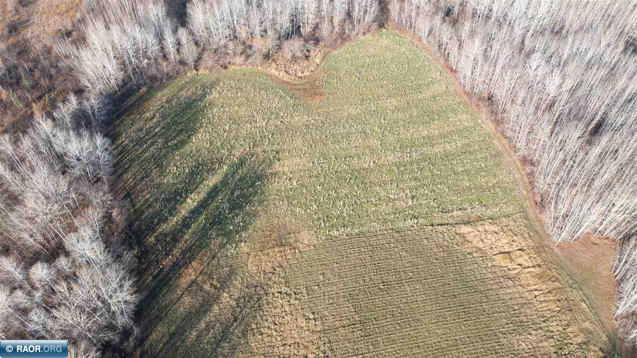 11680 Co Road Orr, MN 55771 - Photo 7 of 23