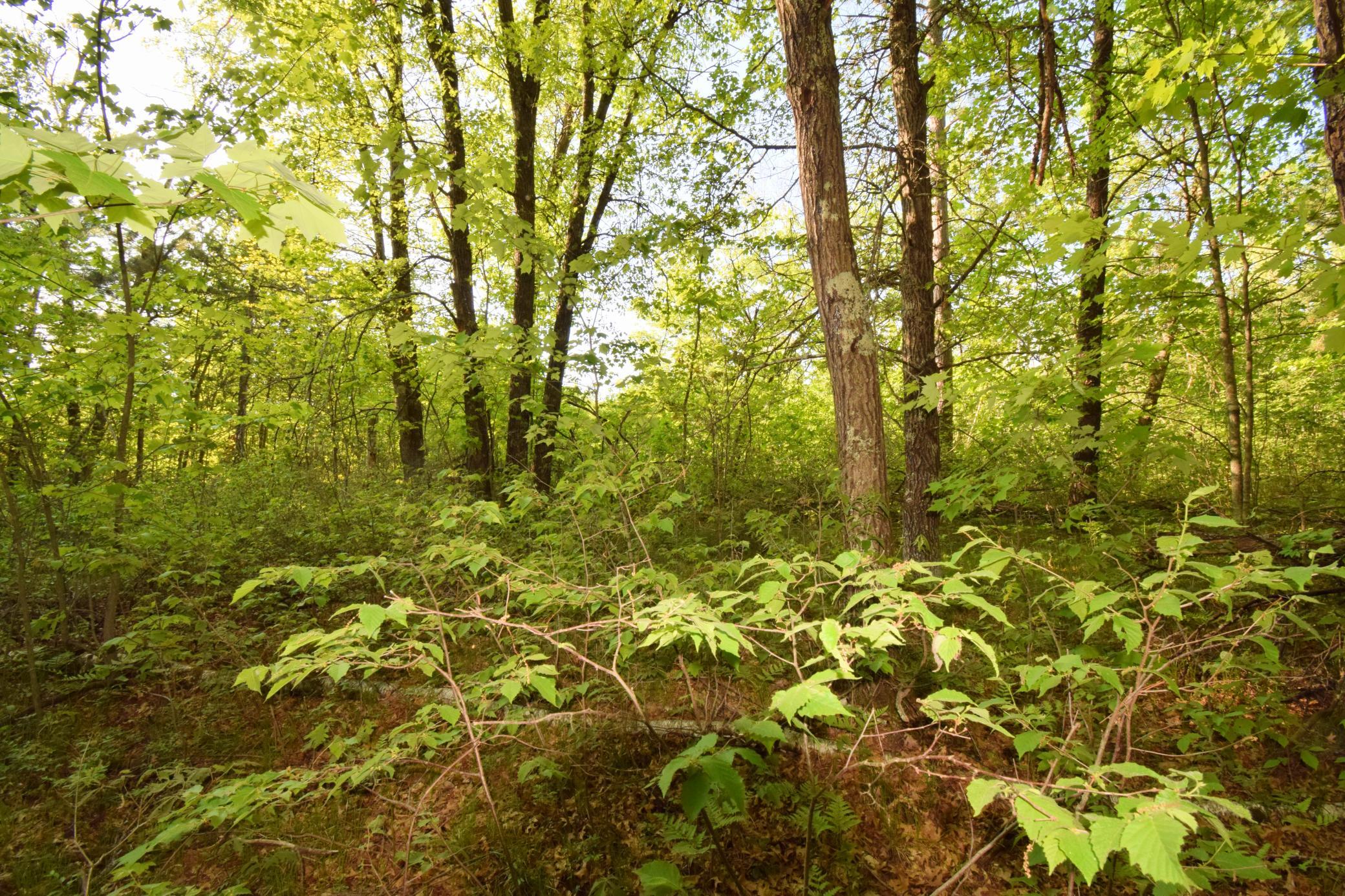 Lot 31 Setting Sun Trail Way Danbury, WI 54830 - Photo 14 of 19