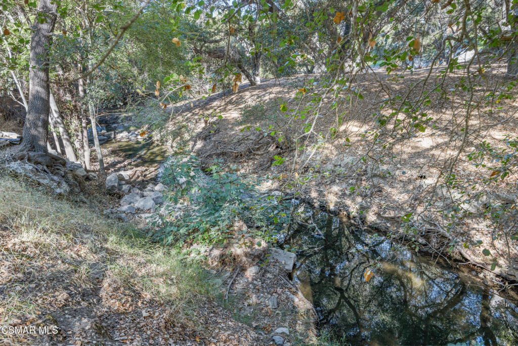 23637 Park Capri, Unit 36 Calabasas, CA 91302 - Photo 11 of 39 a view of a tree in a yard