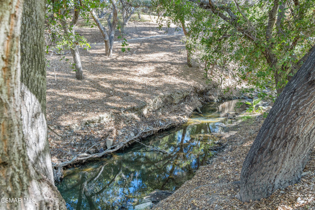 23637 Park Capri, Unit 36 Calabasas, CA 91302 - Photo 13 of 39 a backyard of a house with large trees and plants
