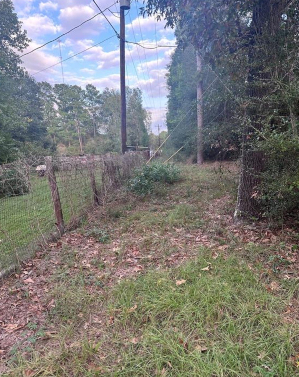 19265 Alford Road Magnolia, TX 77355 - Photo 10 of 10