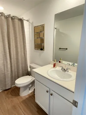 a bathroom with a sink a toilet a mirror and shower curtain