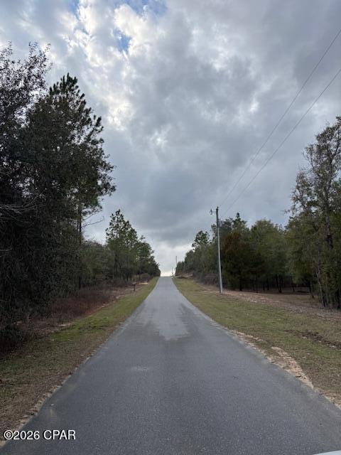 2816 Territory Road Chipley, FL 32428 - Photo 7 of 13