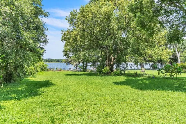 a view of a trees with a big yard