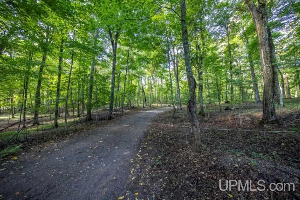 269 Kohon Road Crystal Falls, MI 49920 - Photo 47 of 50