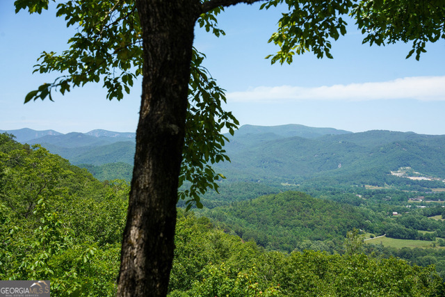 786 Hope Haven Lane Rabun Gap, GA 30568 - Photo 5 of 39