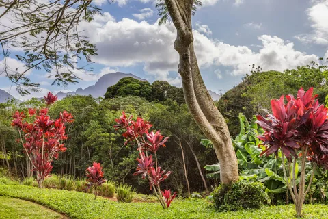 $899,000 | 2110 Kaneka Street, Unit 58, Lihue, HI 96766