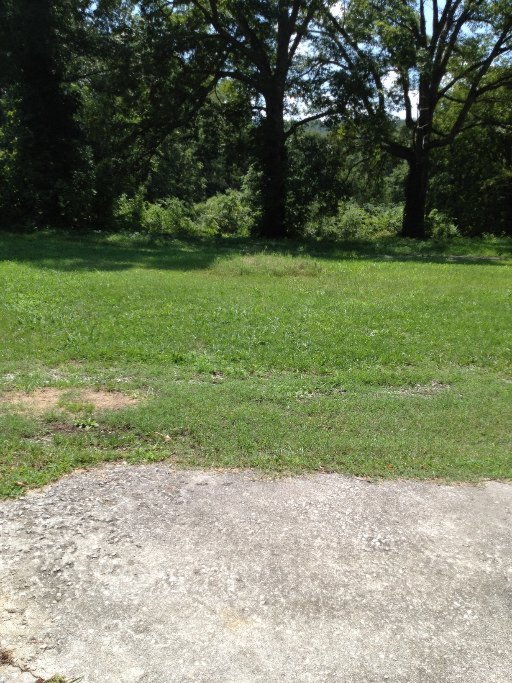 1051 Lowery Loop Road New Market, TN 37820 - Photo 17 of 36 Additional Photo