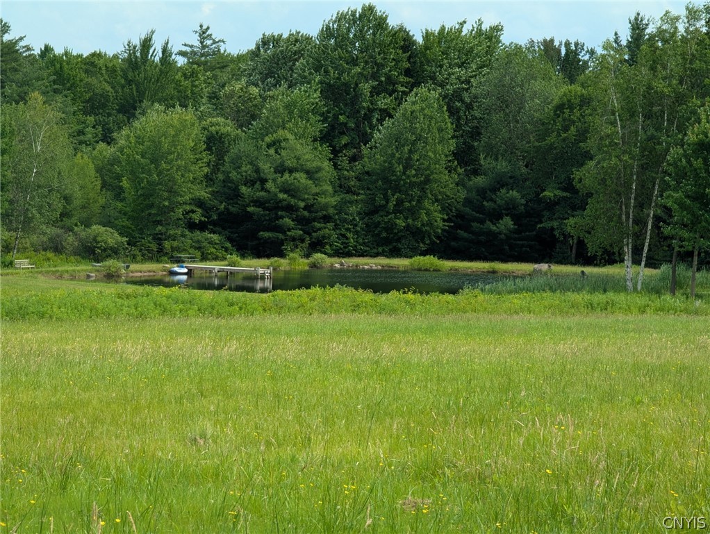 1888 Mulholland Road Vienna, NY 13042 - Photo 8 of 50