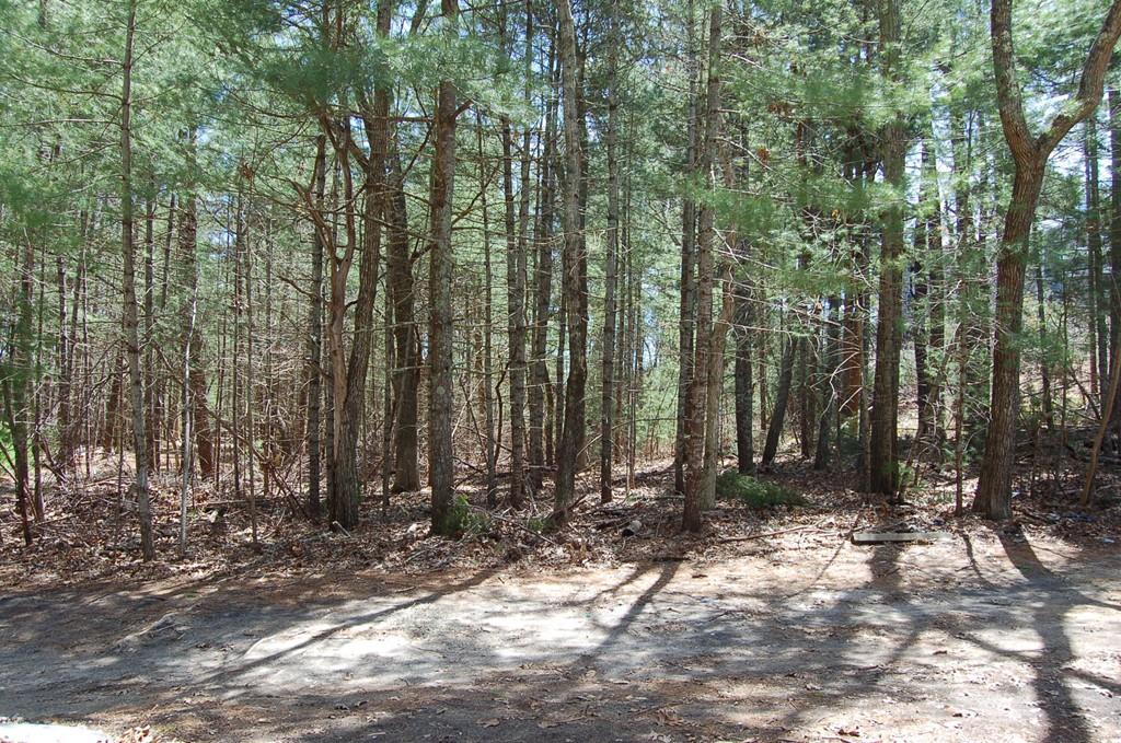 96 Mayflower Ridge Drive Wareham, MA 02571 - Photo 5 of 26