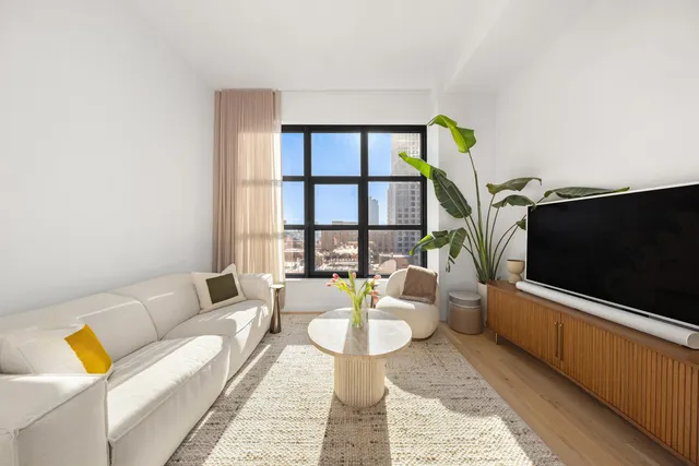 a living room with furniture and a potted plant