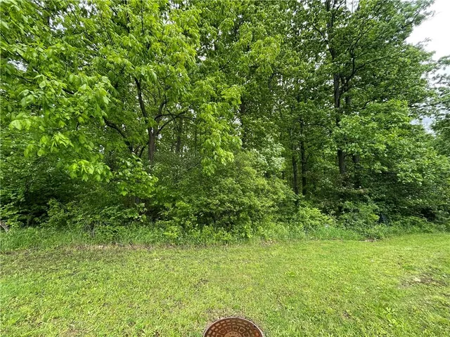 a backyard of a house with lots of green space