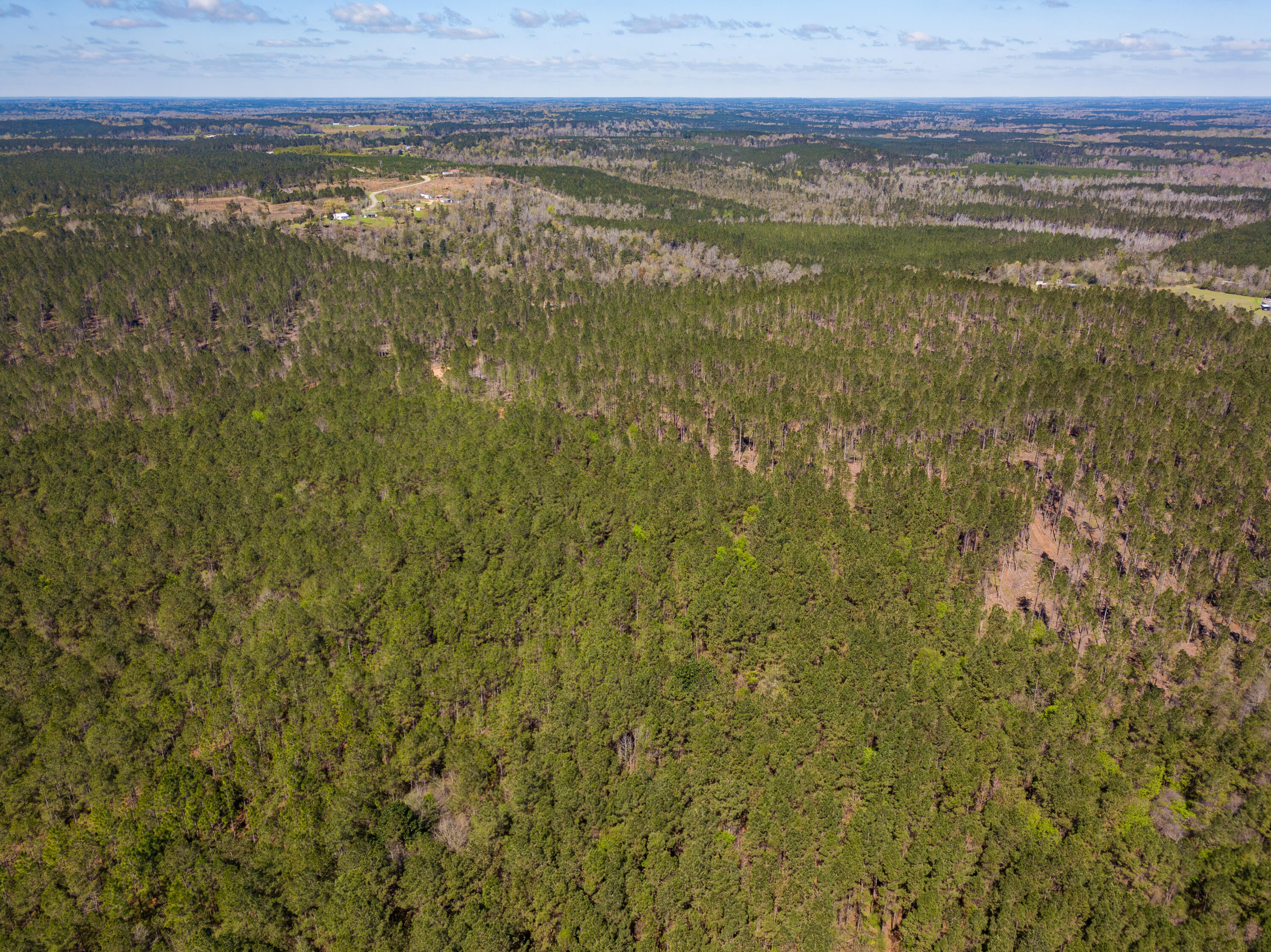 Lot 7 Timothy Road Ellisville, MS 39437 - Photo 28 of 29 Gallery Image 28