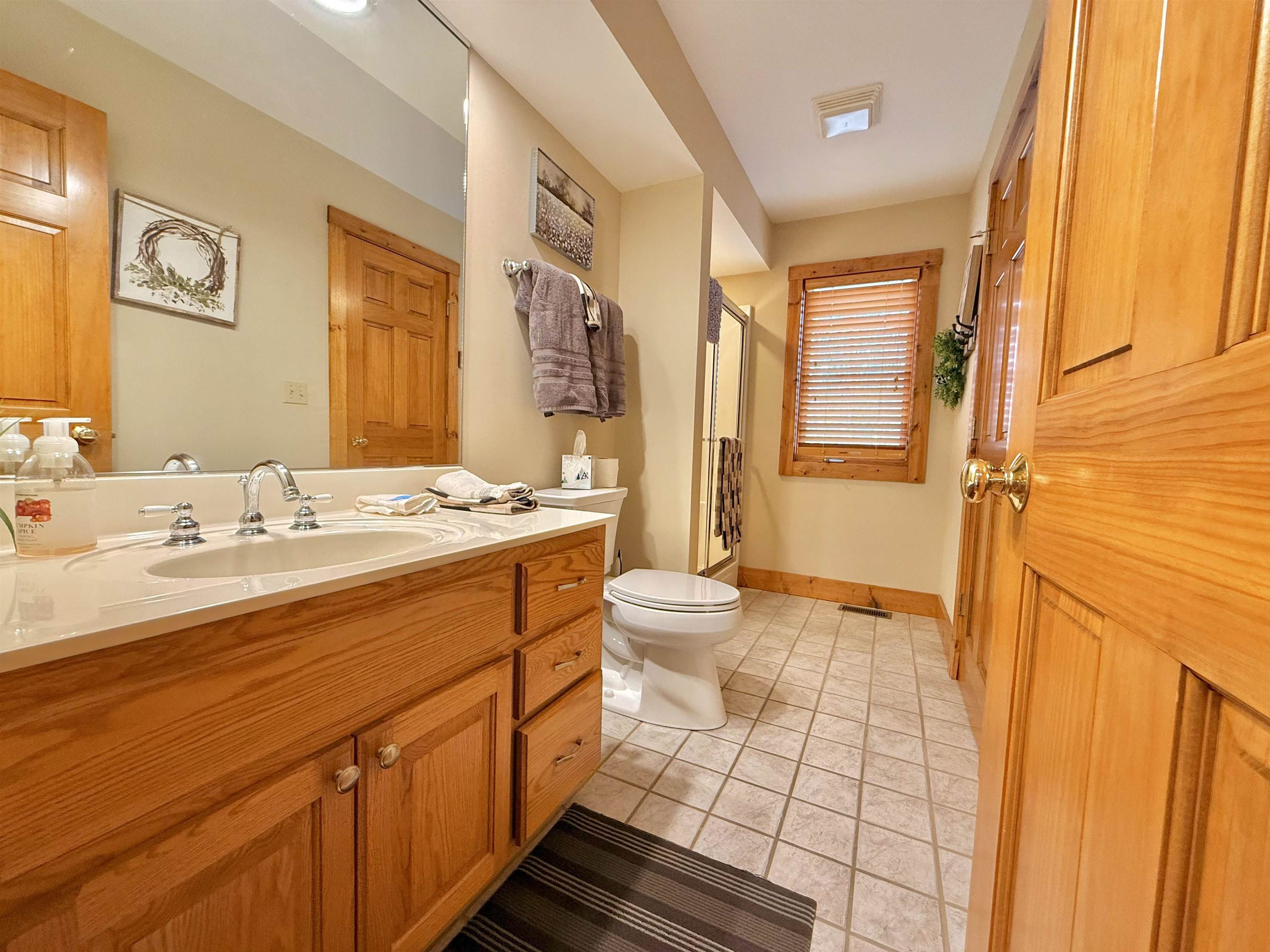1 Tamarack Row Elizabeth, IL 61028 - Photo 14 of 38 a spacious bathroom with a sink a toilet and a shower