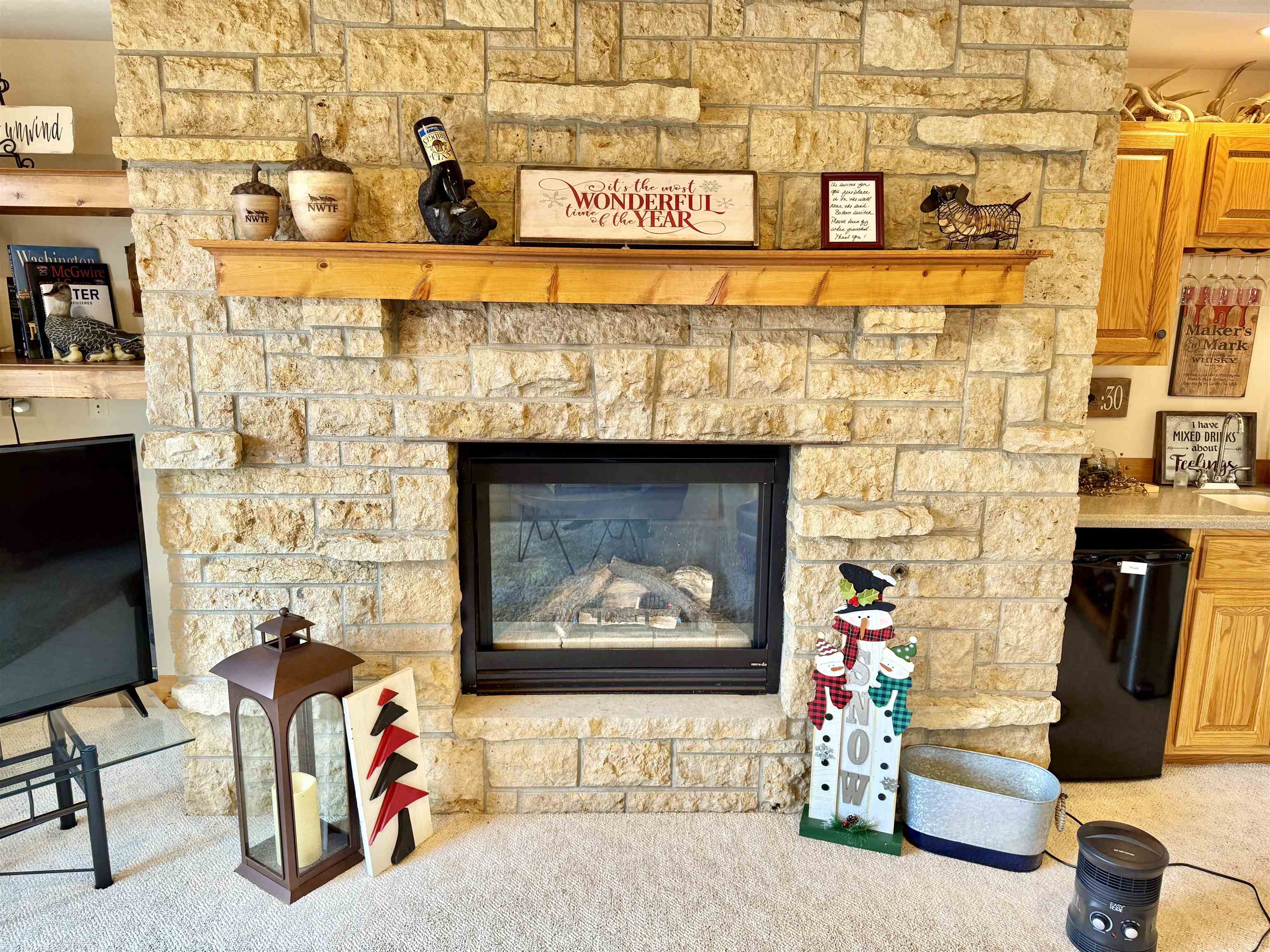 1 Tamarack Row Elizabeth, IL 61028 - Photo 23 of 38 a living room with furniture and a fireplace