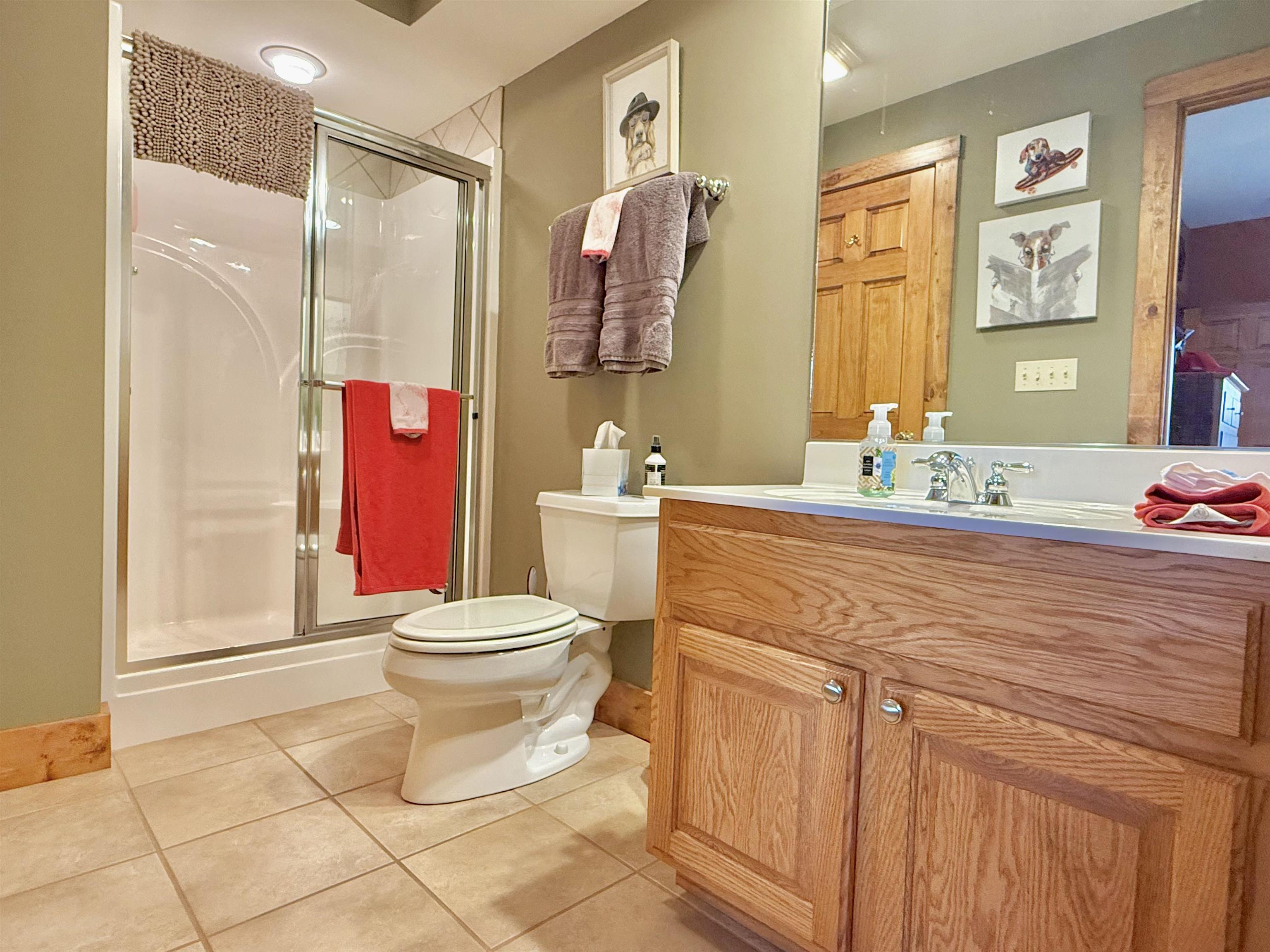 1 Tamarack Row Elizabeth, IL 61028 - Photo 28 of 38 a bathroom with a sink toilet and shower