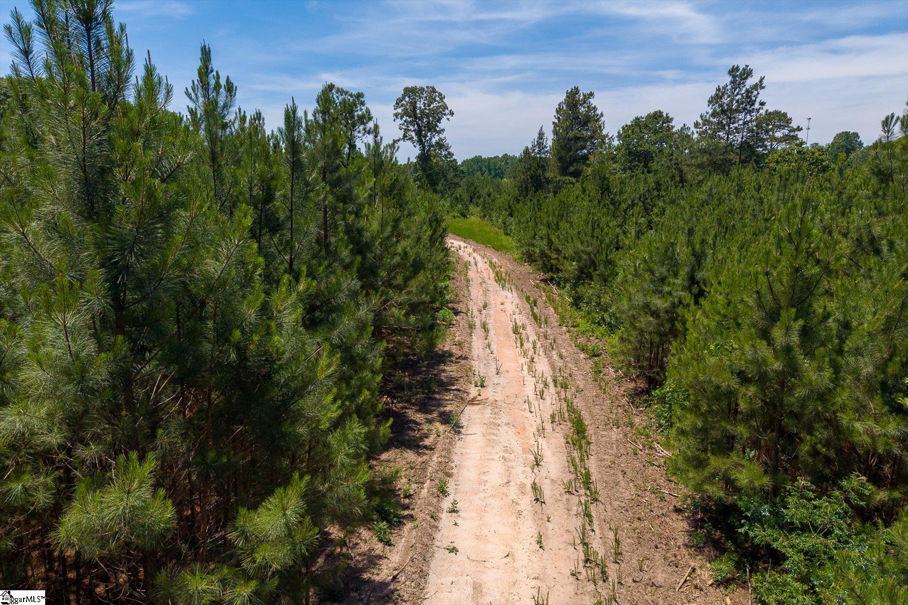 9761 Augusta Road Pelzer, SC 29669 - Photo 10 of 14