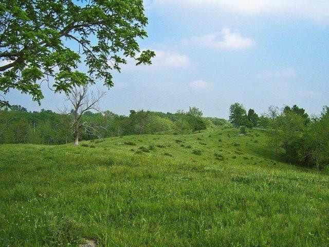 501 Gunnell Road Georgetown, KY 40324 - Photo 6 of 14 Photo 6