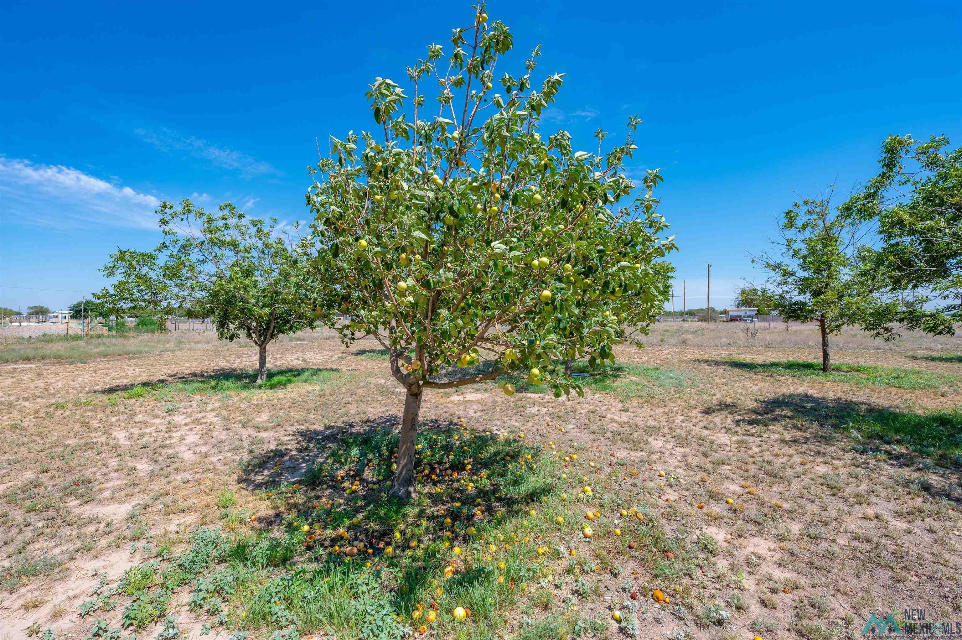 6269 Rocking Chair Road Roswell, NM 88203 - Photo 82 of 92 Gallery Image 82