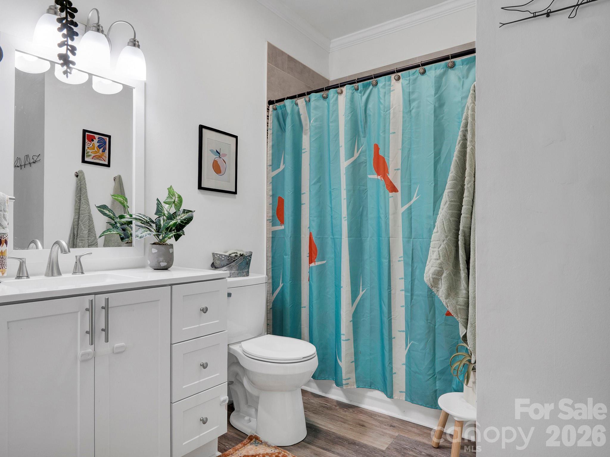 208 Hough Street Monroe, NC 28112 - Photo 23 of 32 a bathroom with a sink a mirror and a toilet