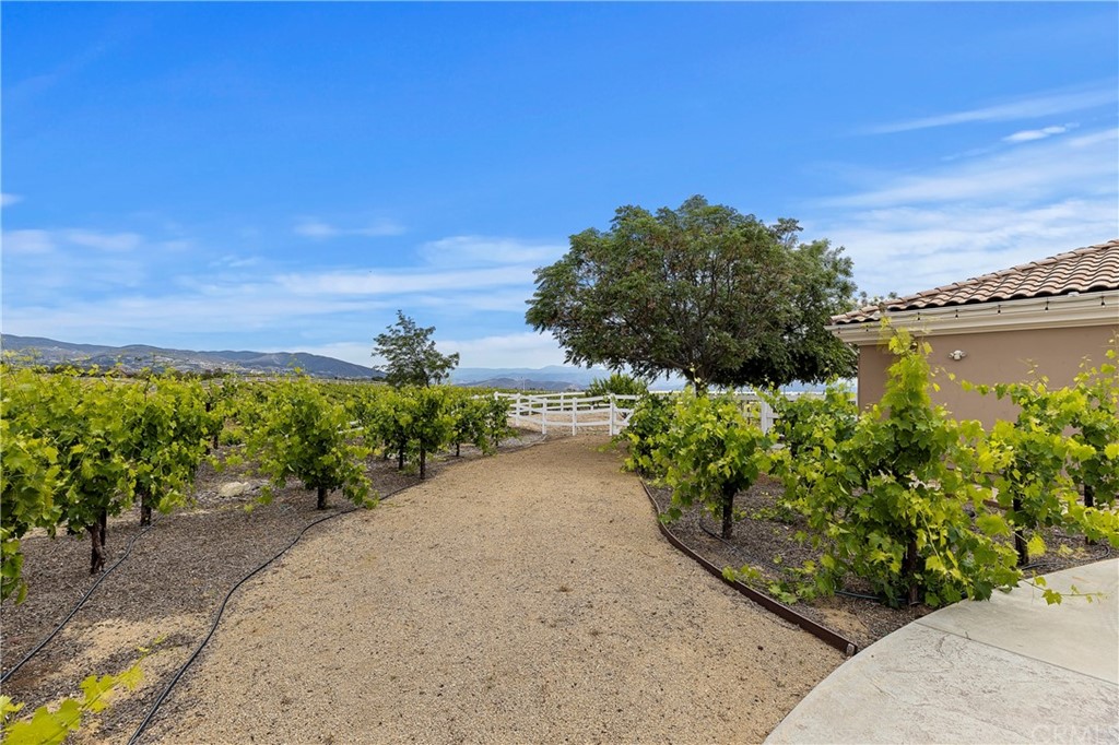 35767 Vía Las Ramblas Temecula, CA 92592 - Photo 62 of 74