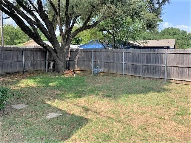 a view of a yard with a small cabin and a large tree