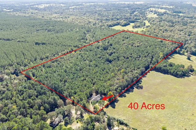 a kitchen with stainless steel appliances a refrigerator a stove a sink dishwasher and white cabinets with wooden floor