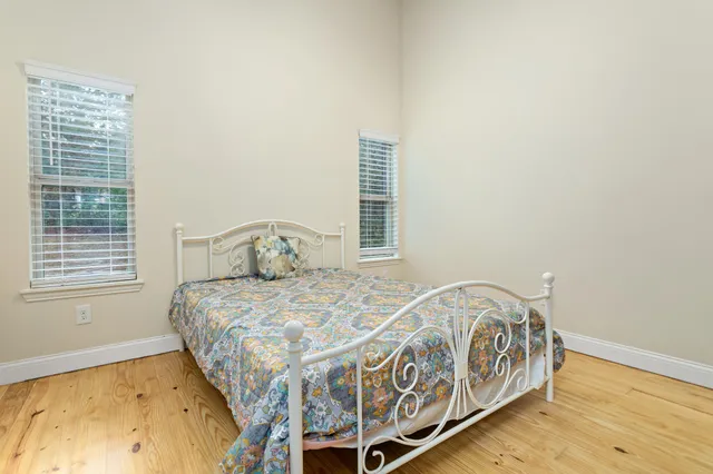 a view of a forest with trees in the background